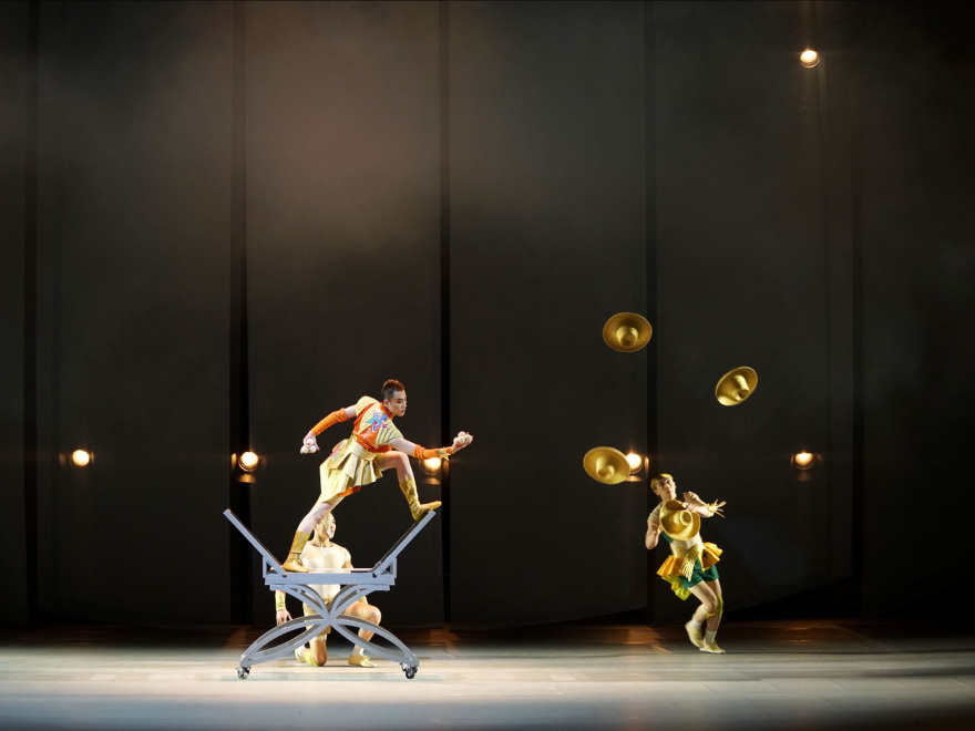 Swan Acrobatic Dance Drama