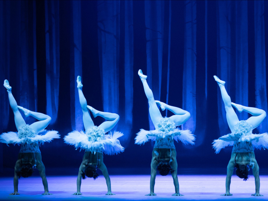 Swan Acrobatic Dance Drama