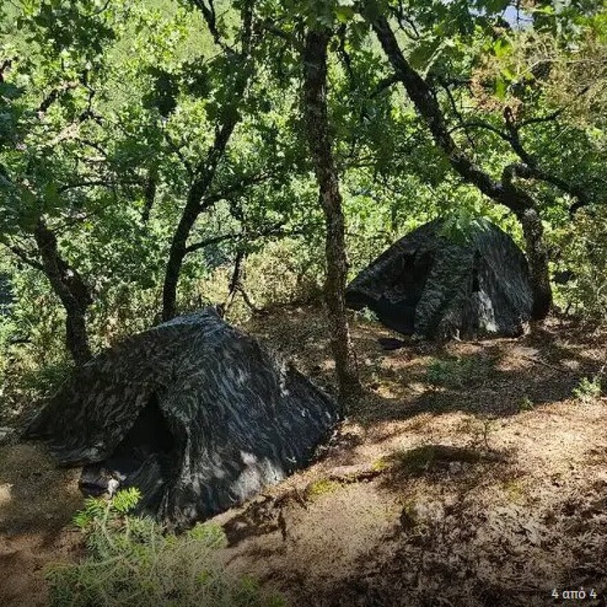 Ταυτοποιήθηκε ο καλλιεργητής της μεγάλης φυτείας με 890 δενδρύλλια κάνναβης στην Κορινθία