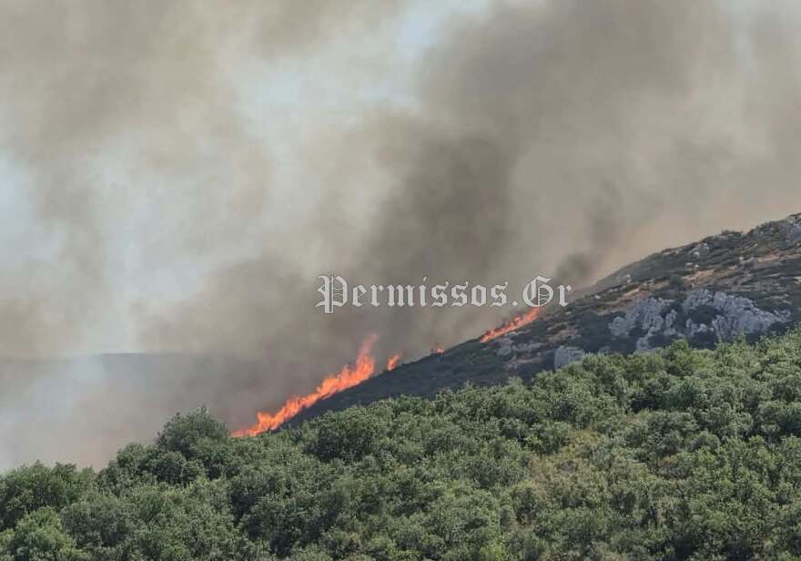 Φωτιά στον Μύτικα Θήβας, καίει κοντά σε φωτοβολταϊκό πάρκο, 8 αεροσκάφη στη μάχη
