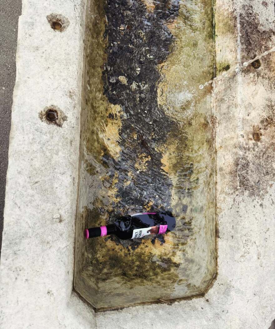 Η Αναστασία Παντούση πόζαρε τόπλες στο Instagram, δείτε φωτογραφία