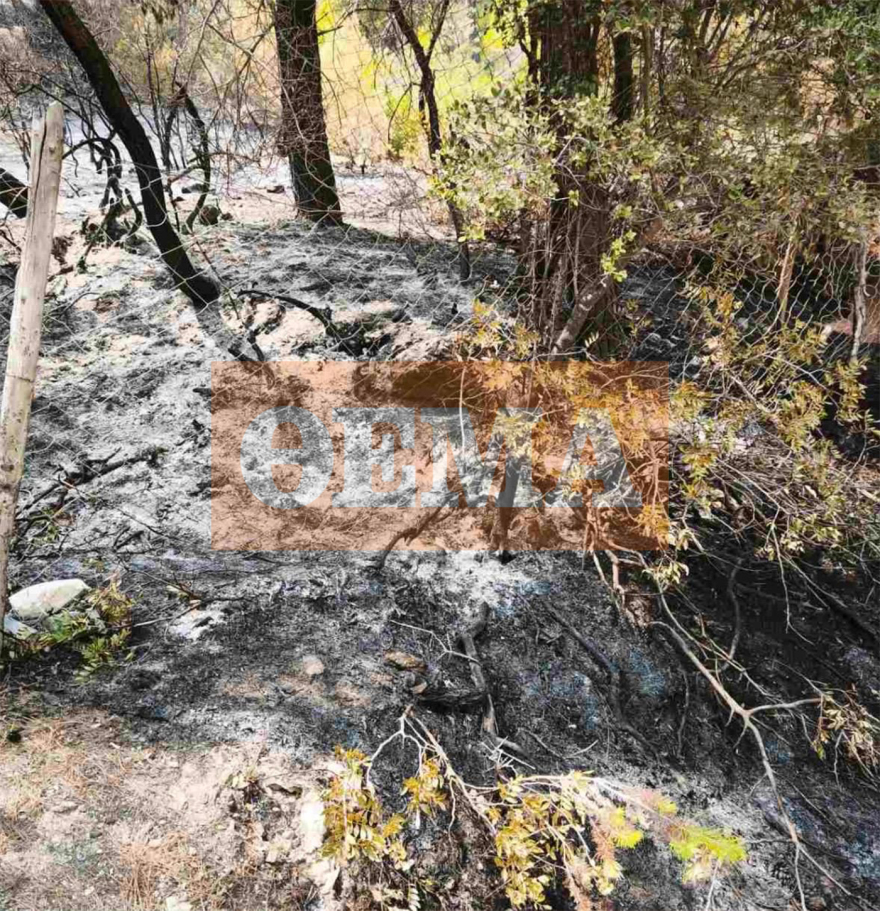 Φωτιά στη Σκύρο: Οι πατημασιές και τα μπουκάλια από αλκοόλ «οδήγησαν» στον 50χρονο που προσήχθη, εξετάζονται κτηνοτροφικές διαφορές
