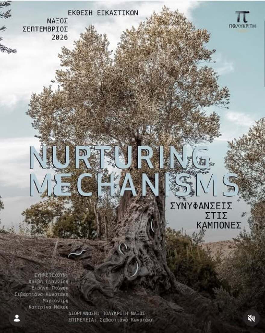 «Nurturing Mechanisms» στη Νάξο: Έκθεση σύγχρονης τέχνης στον ελαιώνα Καμπόνες - Η γυναίκα πίσω από την πρωτοβουλία και η φιλοσοφία της διοργάνωσης