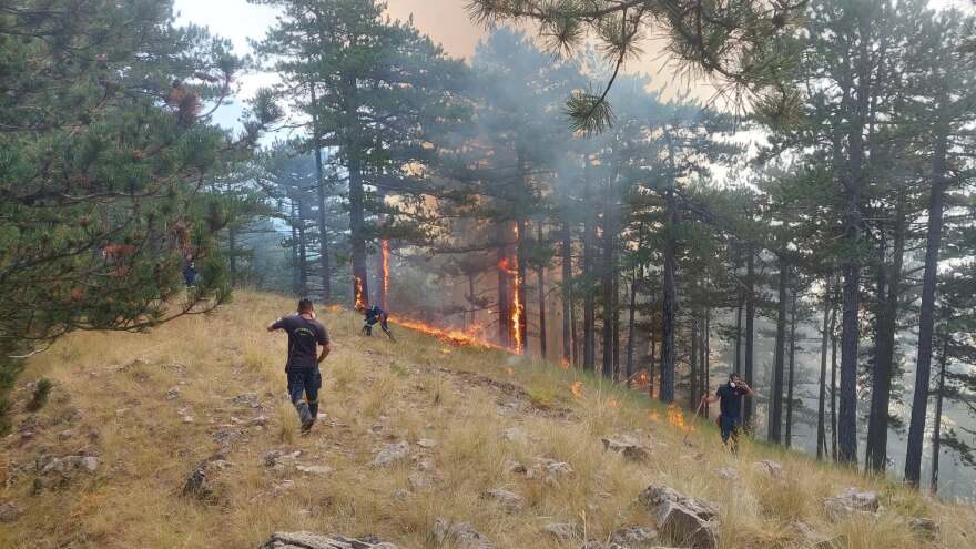 Μαίνεται η μεγάλη φωτιά στην περιοχή της Τραπεζίτσας στην Κόνιτσα: Πάνω από 150 πυροσβέστες και 12 ενάερια μέσα στη μάχη με τις φλόγες