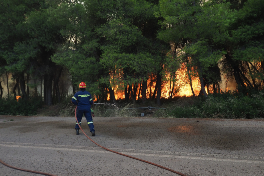 Βελτιωμένη εικόνα στη μεγάλη φωτιά στη Μακρυκάπα Εύβοιας, επιχειρούν 13 εναέρια, δείτε βίντεο 
