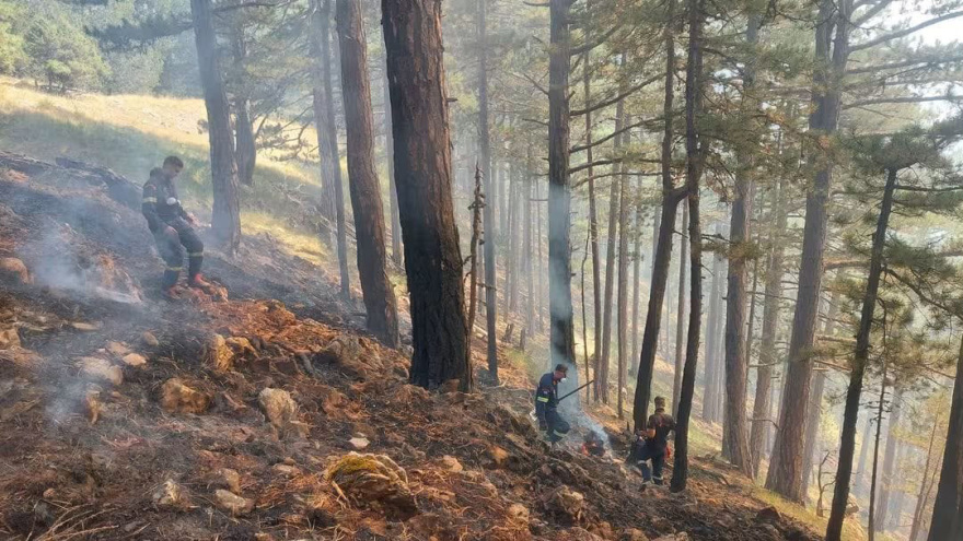 Η μάχη των δασοκομάντος με τις φλόγες στην Κόνιτσα, καλύτερη η εικόνα της πυρκαγιάς, δείτε βίντεο και φωτογραφίες