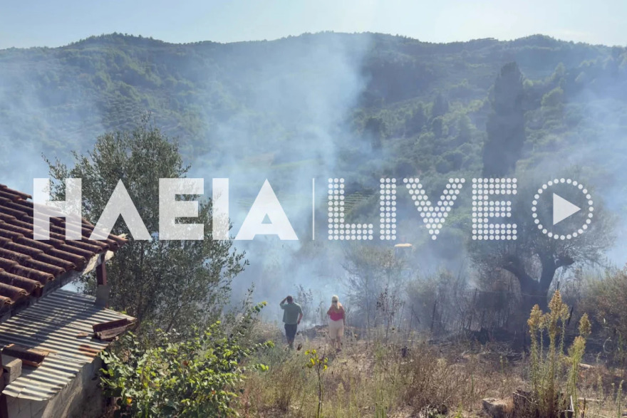 Φωτιά αγροτοδασική έκταση στο Χειμαδιό Ηλείας, σηκώθηκαν 3 αεροσκάφη