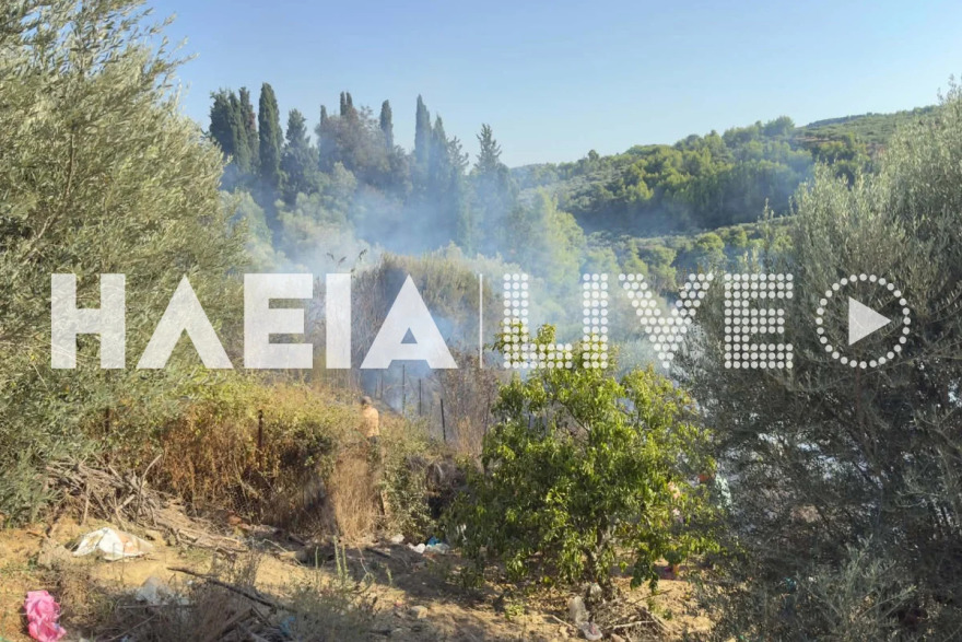 Φωτιά αγροτοδασική έκταση στο Χειμαδιό Ηλείας, σηκώθηκαν 3 αεροσκάφη