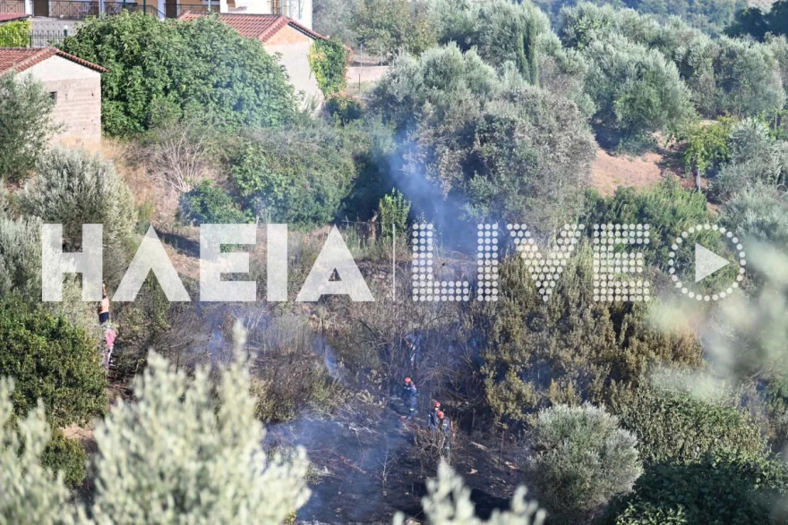 Φωτιά αγροτοδασική έκταση στο Χειμαδιό Ηλείας, σηκώθηκαν 3 αεροσκάφη
