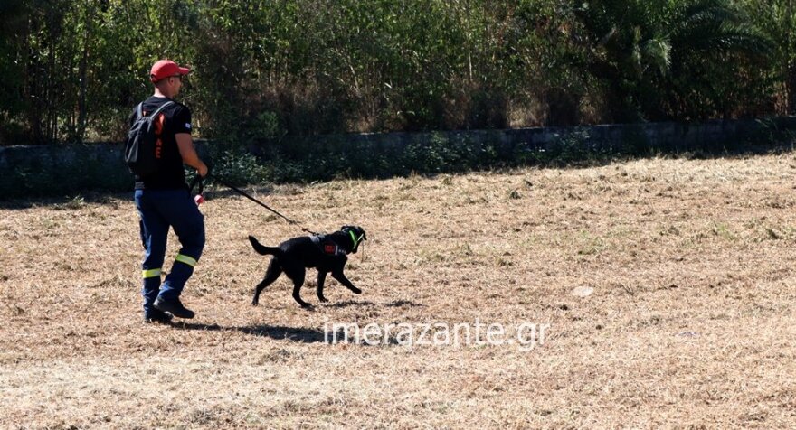 Για τρίτη ημέρα συνεχίζονται οι έρευνες για την 62χρονη Ρουμάνα τουρίστρια που αγνοείται στη Ζάκυνθο, δείτε φωτογραφίες