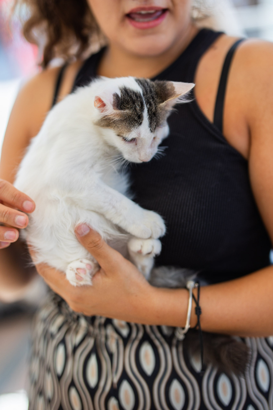 A Day With My Pet από το topetmou.gr: Εκδηλώσεις σε Αθήνα, Θεσσαλονίκη και Πάτρα στις 3 Οκτωβρίου
