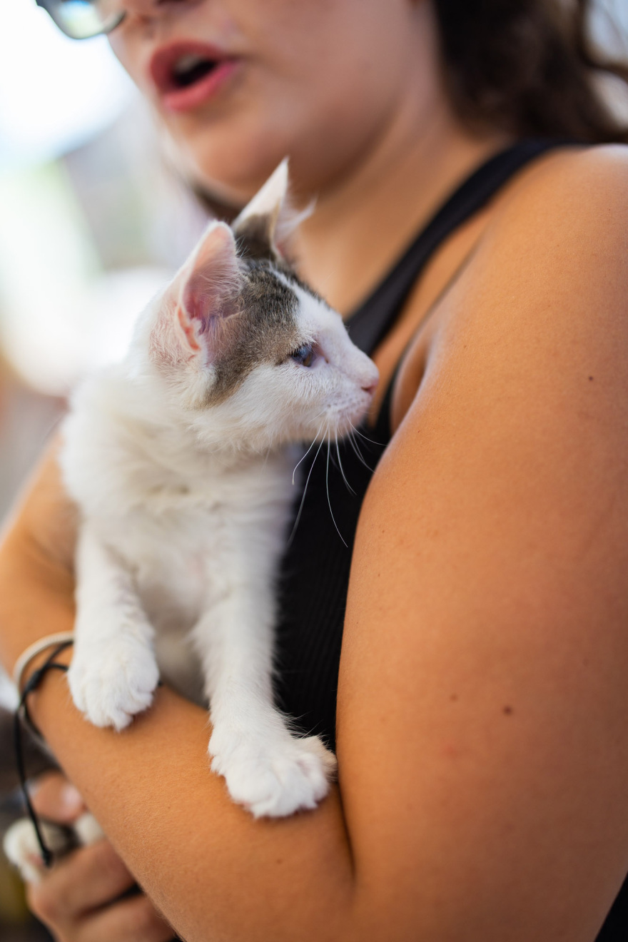 Πλήθος κόσμου στο 6ο A Day With My Pet στην Ελευσίνα: Η μεγάλη γιορτή του topetmou.gr για τους τετράποδους φίλους μας, δείτε βίντεο και φωτογραφίες