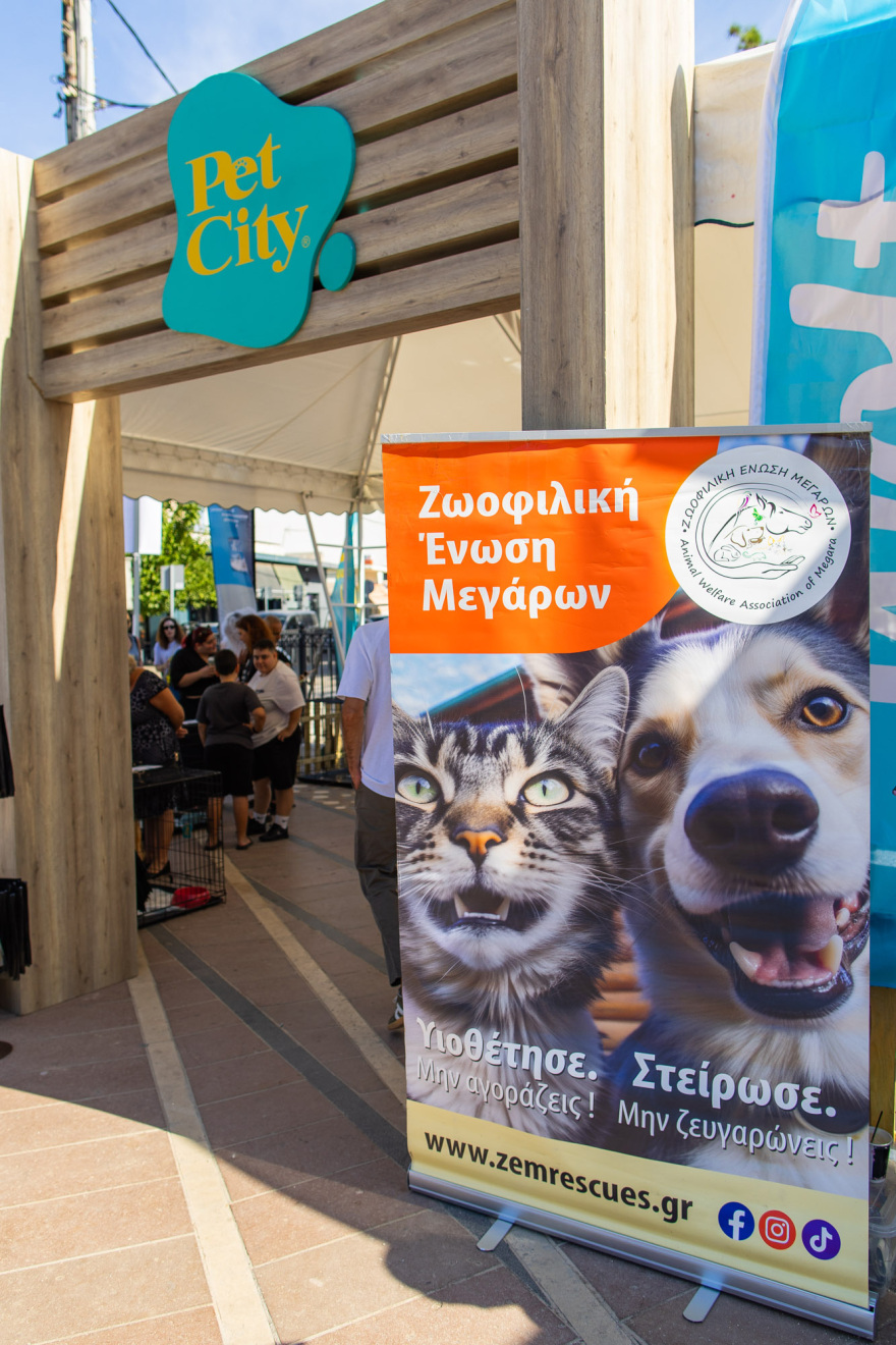 Πλήθος κόσμου στο 6ο A Day With My Pet στην Ελευσίνα: Η μεγάλη γιορτή του topetmou.gr για τους τετράποδους φίλους μας, δείτε βίντεο και φωτογραφίες