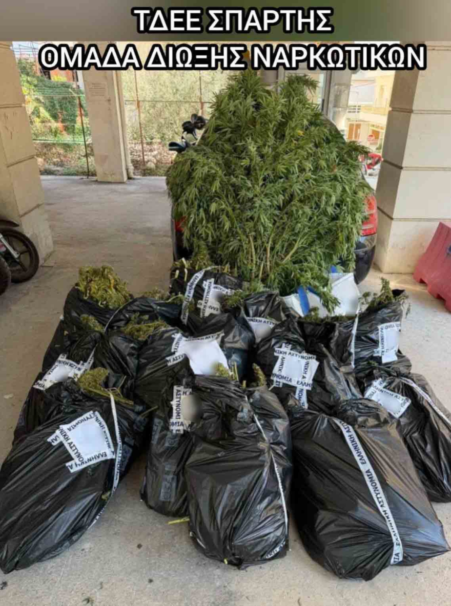 Κατασχέθηκαν πάνω από 81 κιλά κάνναβης και όπλα στην Σπάρτη, δύο συλλήψεις
