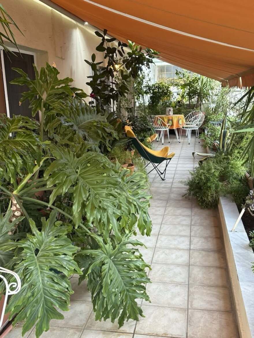 Το καλύτερο και βραβευμένο από πολίτες καταπράσινο μπαλκόνι της Θεσσαλονίκης: «Όταν πέθανε ο πατέρας μου, ήταν μονόδρομος να συνεχίσω», δείτε βίντεο
