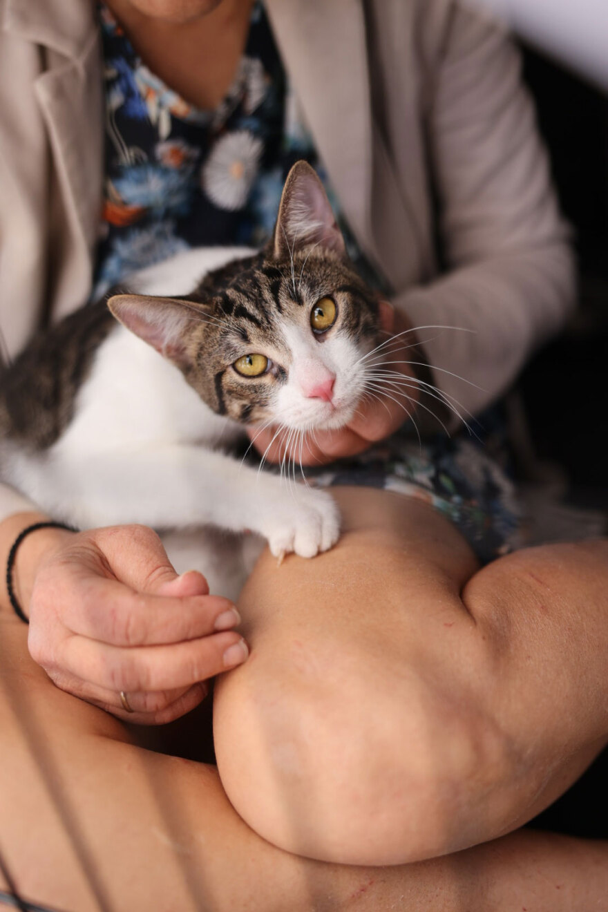 Πλήθος κόσμου στο A Day With My Pet του petmou.gr σε Αθήνα, Θεσσαλονίκη και Πάτρα - Δείτε φωτογραφίες 