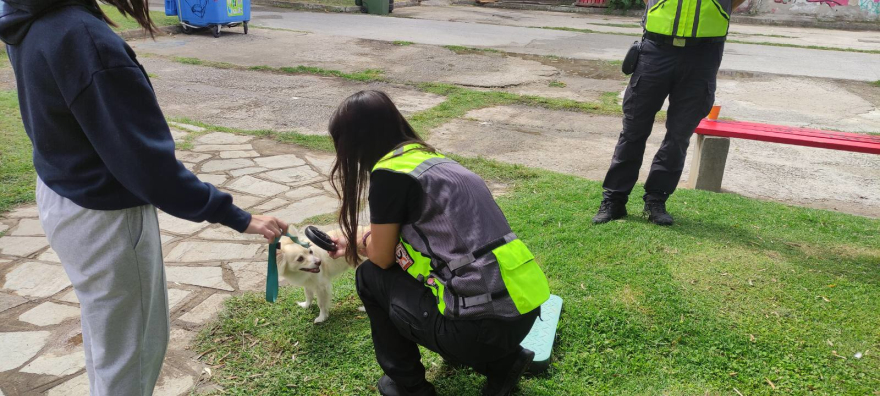 Πάνω από 40 πρόστιμα ύψους 14.300 ευρώ για παραβάσεις σχετικά με ζώα συντροφιάς στη Θεσσαλονίκη
