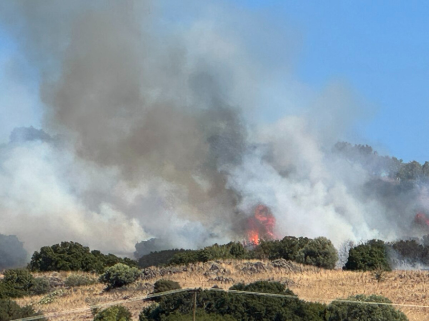 Φωτιά τώρα στη Λαμία, καίει ξερά χόρτα - Σηκώθηκαν 3 εναέρια μέσα 
