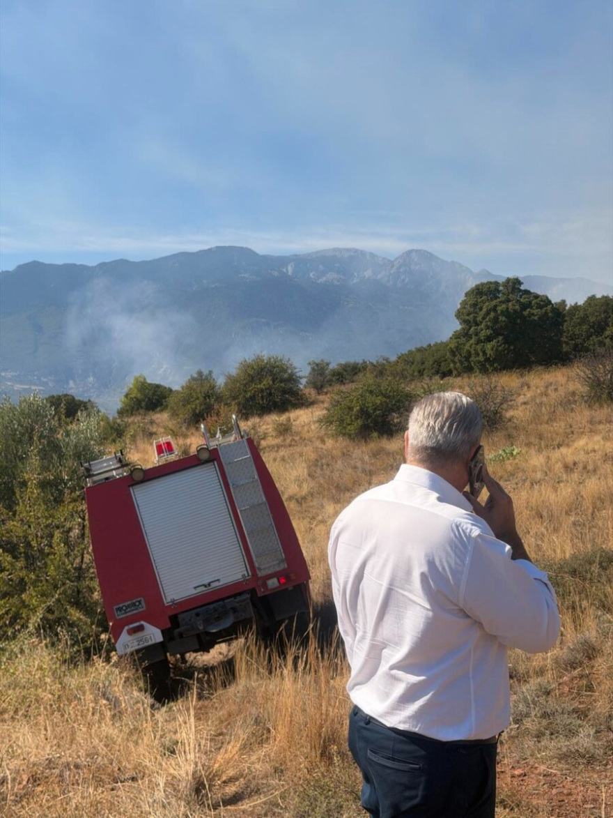Φωτιά τώρα στη Λαμία, καίει ξερά χόρτα - Σηκώθηκαν 3 εναέρια μέσα 