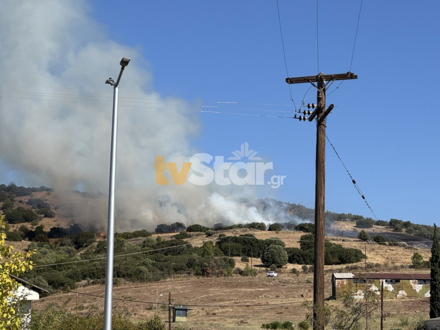 Φωτιά τώρα στη Λαμία, καίει ξερά χόρτα - Σηκώθηκαν 3 εναέρια μέσα 