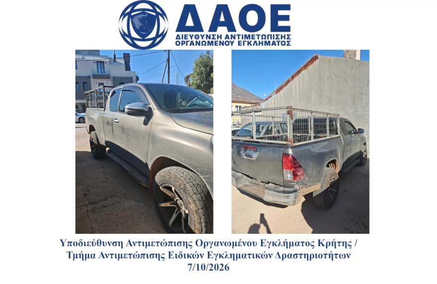 Πάνω από 320 αιγοπρόβατα και 692 κουδούνια έκλεψε συμμορία στο Λασίθι, 5 συλλήψεις
