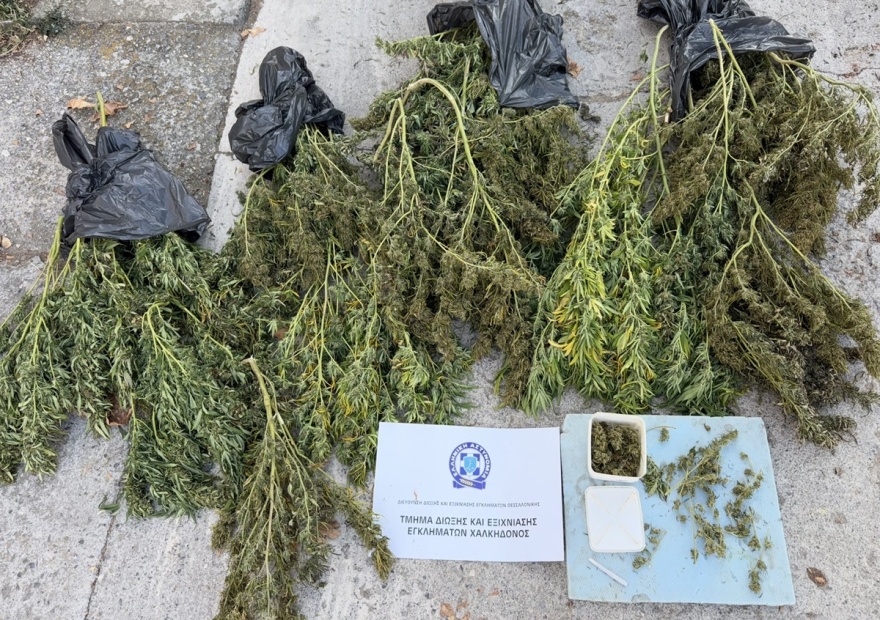 Πάνω από 12 κιλά κάνναβης βρέθηκαν σε αποθήκη 63χρονου στην Πέλλα, ήταν σε διαδικασία αποξήρανσης