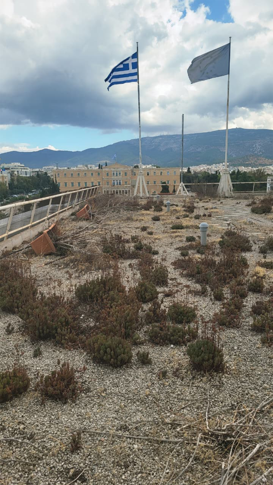 Η καταπράσινη ταράτσα του υπουργείου Οικονομικών που μαράζωσε - Δωρεά 70.000 ευρώ για να ξαναζωντανέψει