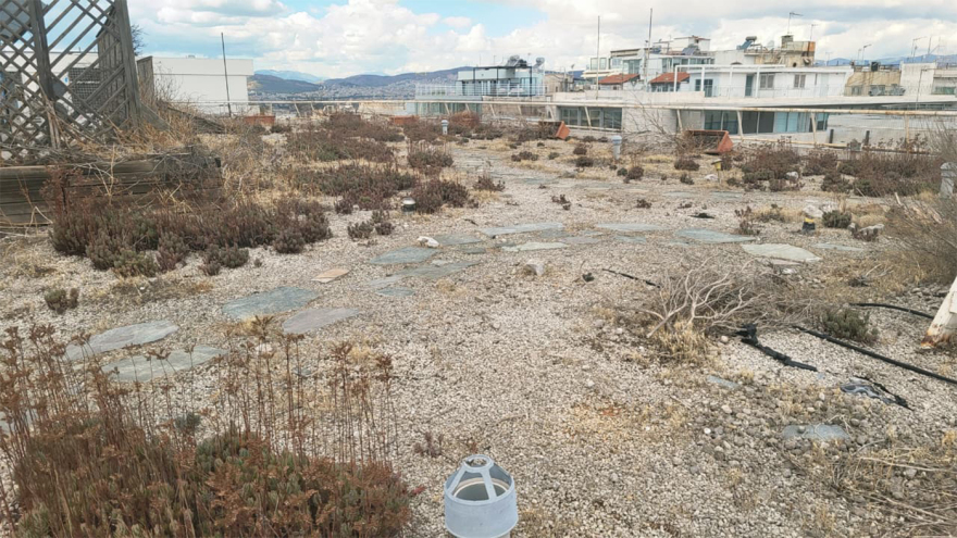 Η καταπράσινη ταράτσα του υπουργείου Οικονομικών που μαράζωσε - Δωρεά 70.000 ευρώ για να ξαναζωντανέψει