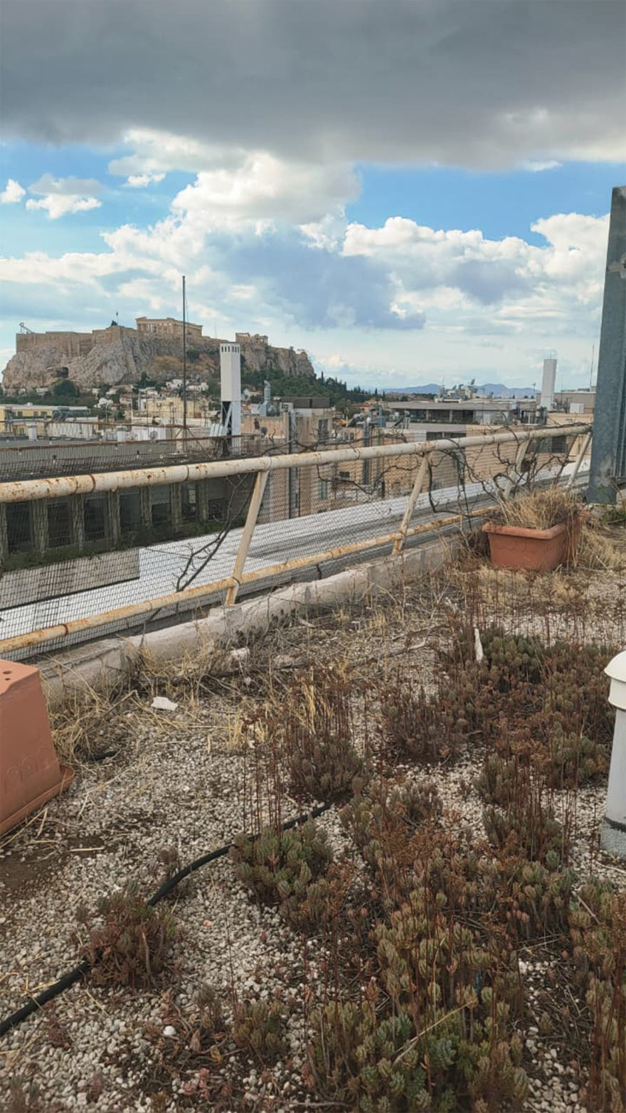 Η καταπράσινη ταράτσα του υπουργείου Οικονομικών που μαράζωσε - Δωρεά 70.000 ευρώ για να ξαναζωντανέψει