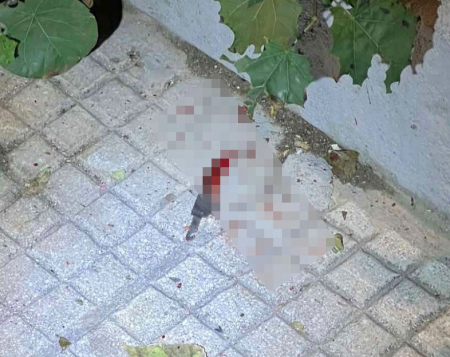 Βίντεο ντοκουμέντο από την άγρια επίθεση 15 ανηλίκων σε δύο 18χρονους στην Κυψέλη, μαχαίρωσαν τον έναν πισώπλατα
