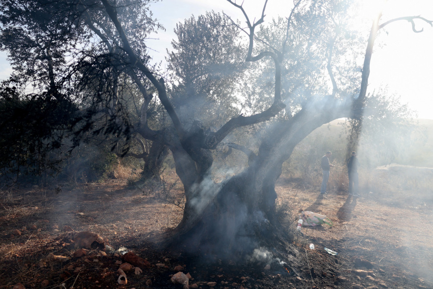 Ισραηλινοί έποικοι ξυλοκόπησαν φωτογράφο της Washington Post και έκαψαν ελιές Παλαιστινίων
