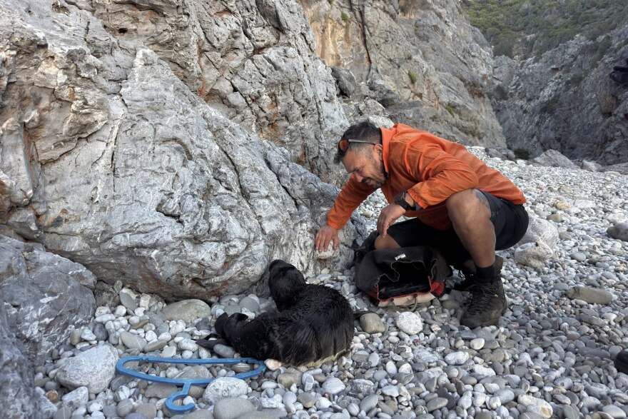 Κουβάλησαν τραυματισμένη φώκια 15 κιλών για να την σώσουν στα Κύθηρα, δείτε βίντεο και φωτογραφίες