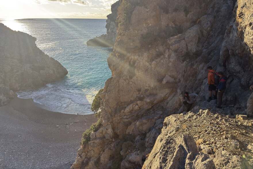 Κουβάλησαν τραυματισμένη φώκια 15 κιλών για να την σώσουν στα Κύθηρα, δείτε βίντεο και φωτογραφίες