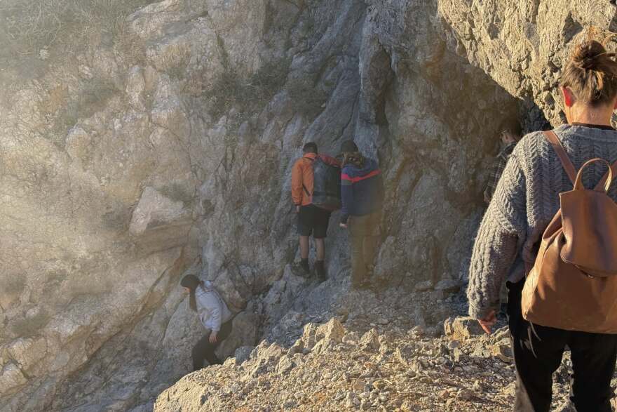 Κουβάλησαν τραυματισμένη φώκια 15 κιλών για να την σώσουν στα Κύθηρα, δείτε βίντεο και φωτογραφίες