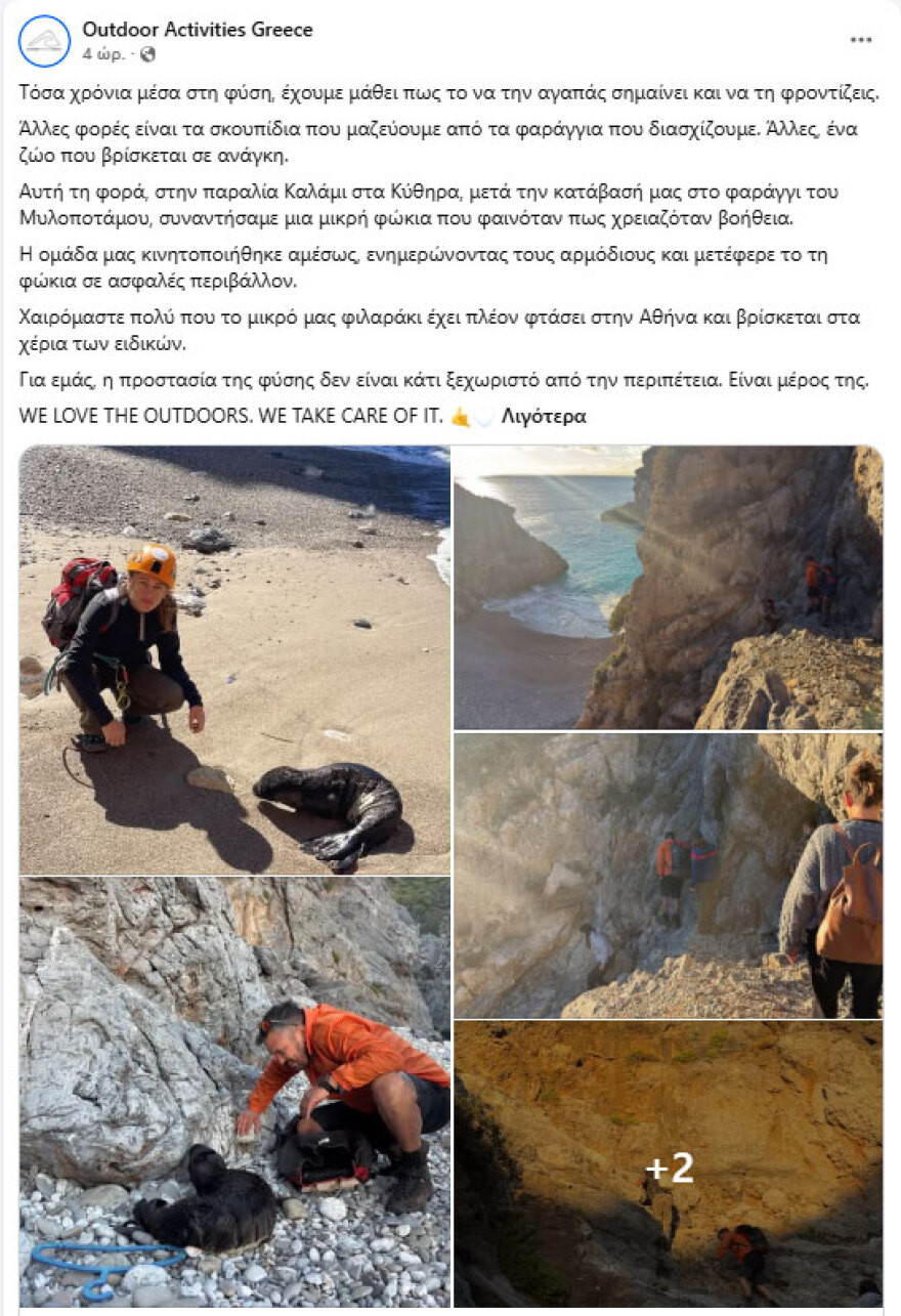 Κουβάλησαν τραυματισμένη φώκια 15 κιλών για να την σώσουν στα Κύθηρα, δείτε βίντεο και φωτογραφίες