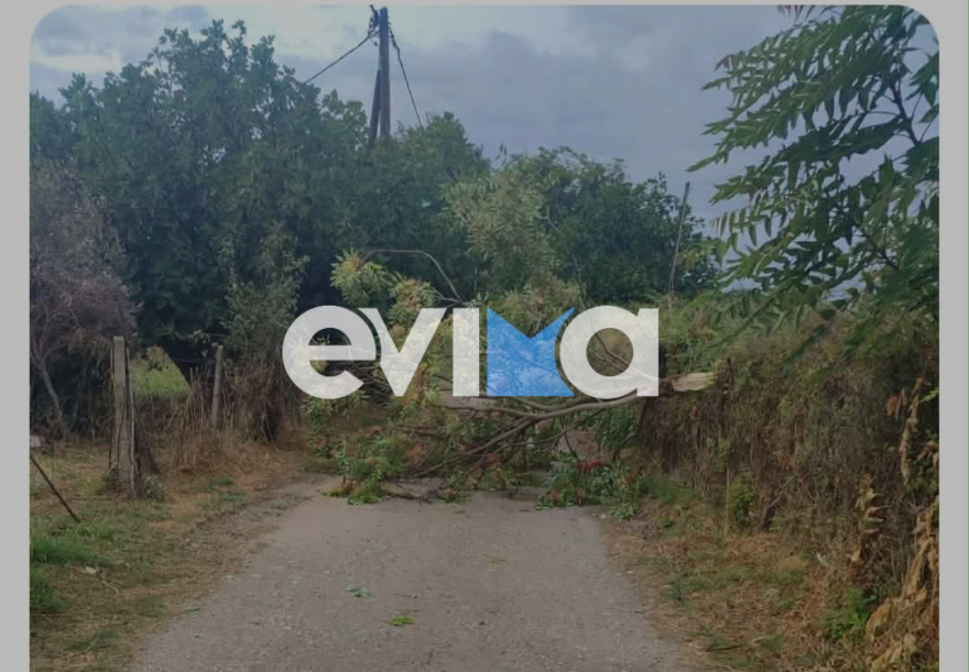 Μπουρίνι χτύπησε την Αθήνα, κλειστή η Πειραιώς σε Χαμοστέρνας και Πέτρου Ράλλη - Σε εξέλιξη η κακοκαιρία σε όλη τη χώρα, έχουν πέσει πάνω από 112.000 κεραυνοί 