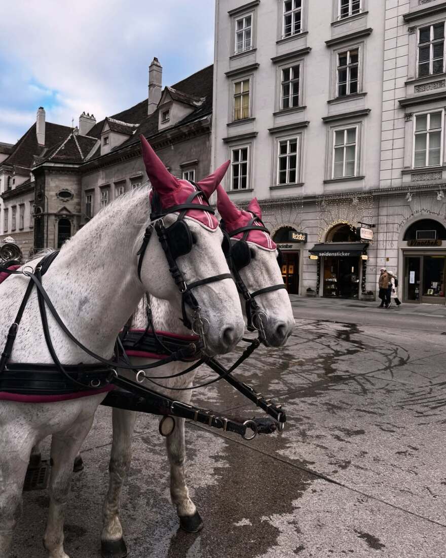 Ελένη Βουλγαράκη - Φώτης Ιωαννίδης: Ερωτευμένοι στη Βιέννη - Οι νέες φωτογραφίες από το ταξίδι τους