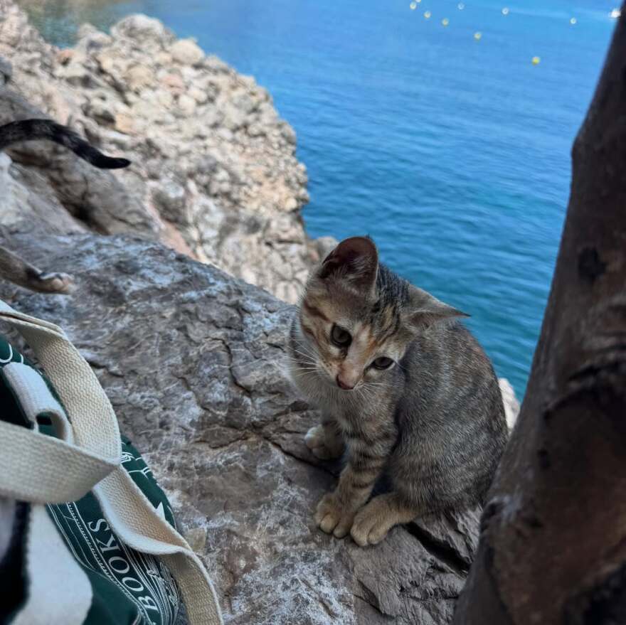 Η Ντούα Λίπα ανέβασε φωτογραφίες από τις διακοπές της στην Ισπανία