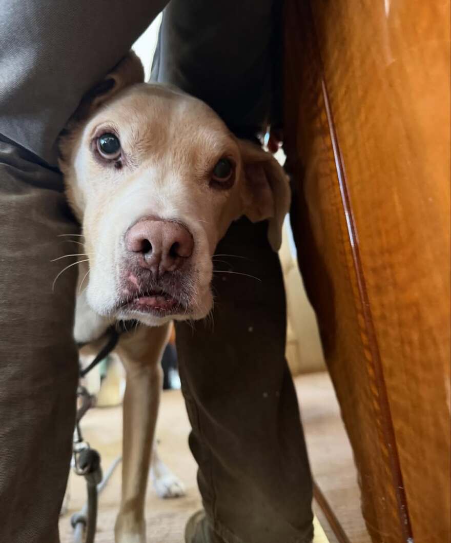 Τζένιφερ Άνιστον: Οι νέες φωτογραφίες με τον σύντροφό της στα γενέθλιά του