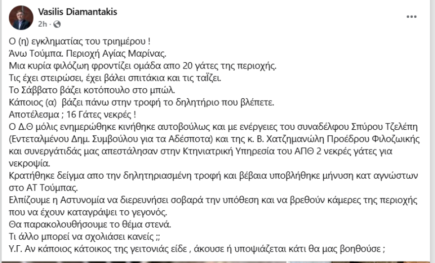 Άγνωστος δηλητηρίασε δεκαέξι γάτες στη Θεσσαλονίκη