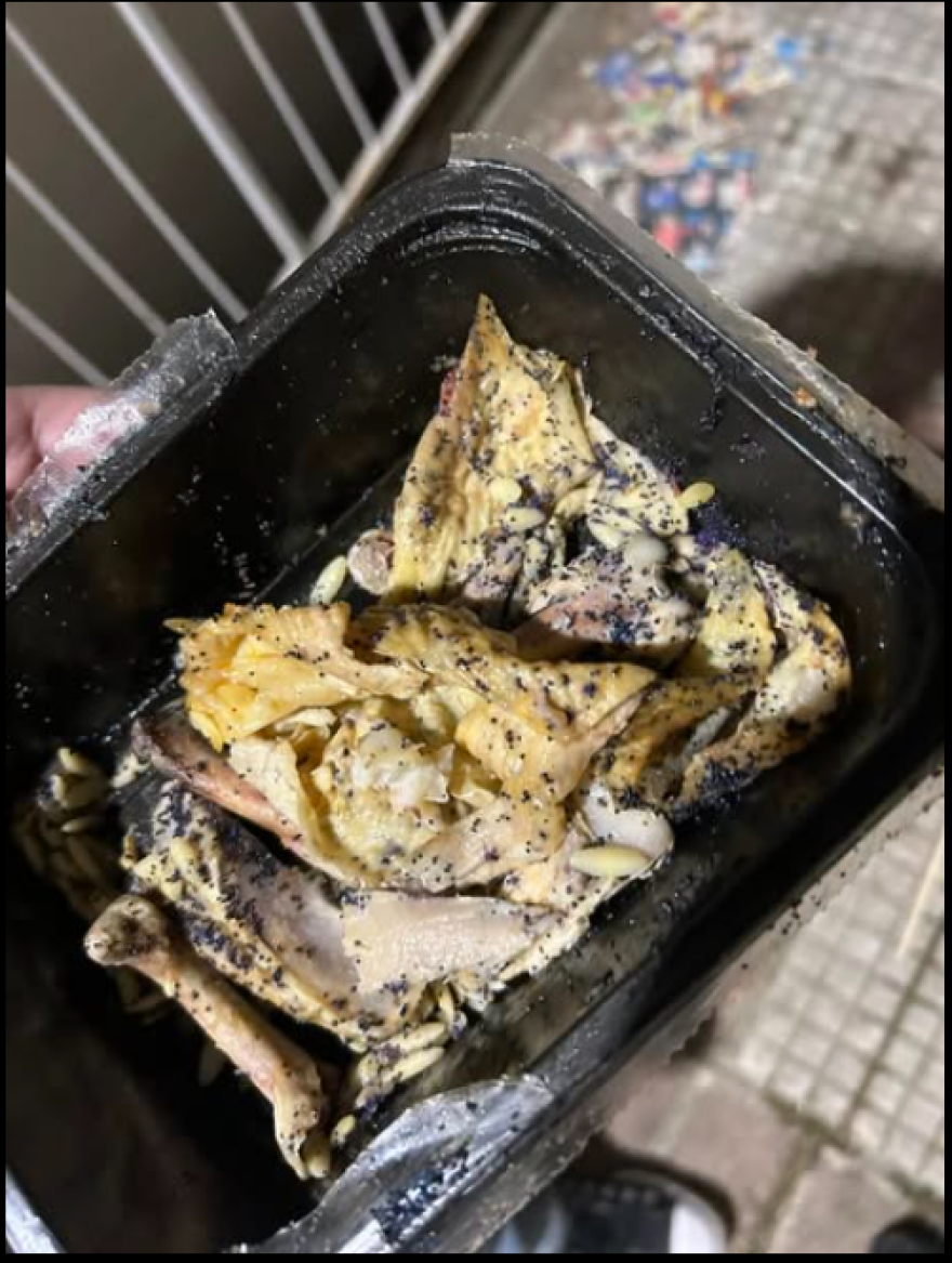 Άγνωστος δηλητηρίασε δεκαέξι γάτες στη Θεσσαλονίκη