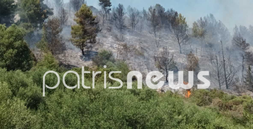 Φωτιά στα Νέα Καλυβάκια Ηλείας - Στη μάχη της κατάσβεσης και ελικόπτερο