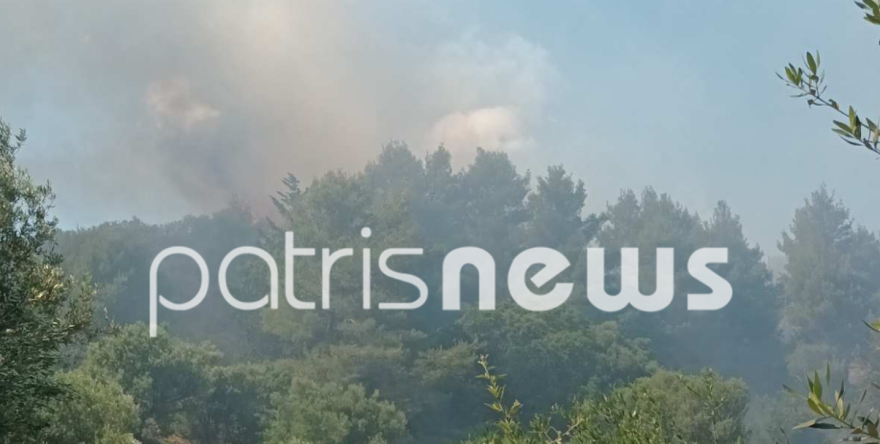 Φωτιά στα Νέα Καλυβάκια Ηλείας - Στη μάχη της κατάσβεσης και ελικόπτερο