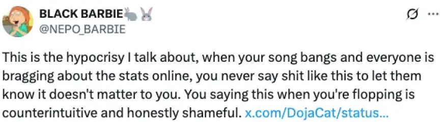 Doja Cat: Δίχασε το Twitter η ανάρτησή της για τους καλλιτέχνες που έχουν εμμονή με τα νούμερα