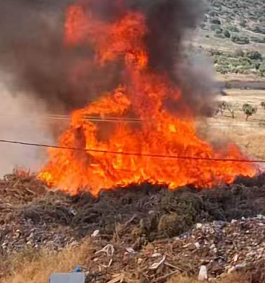 Φωτιά τώρα στο Μαρκόπουλο κοντά στον Ιππόδρομο, σηκώθηκε ελικόπτερο