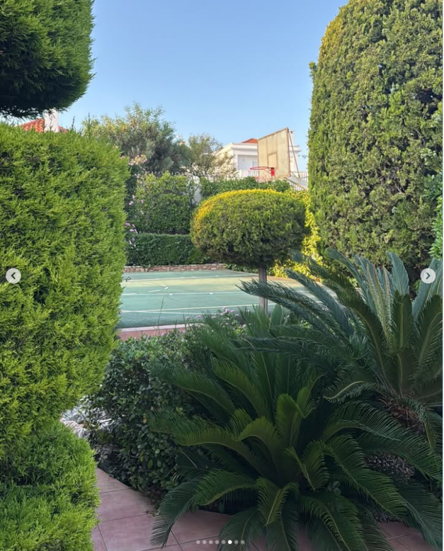 alexadraki