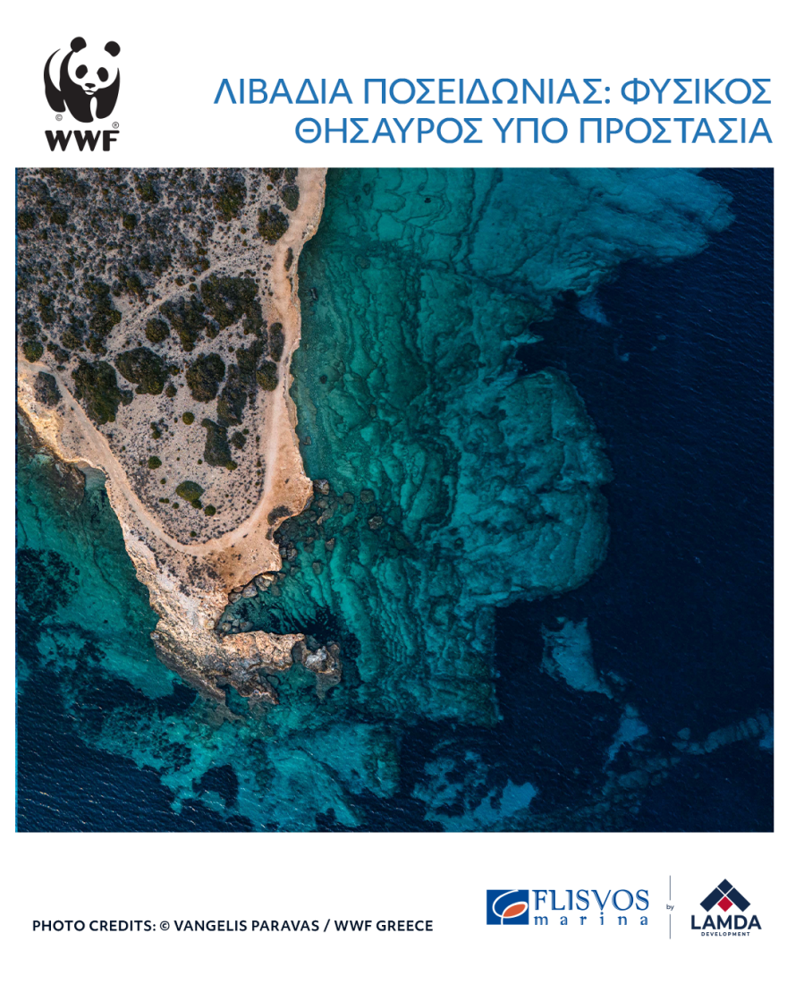 LAMDA Flisvos Marina & WWF Ελλάς: Για την προστασία της θάλασσας που αγαπάμε