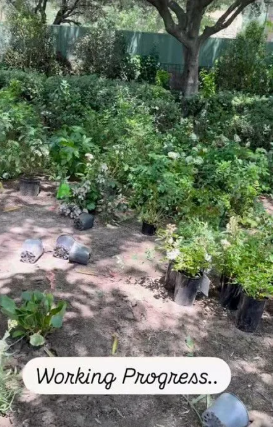 Ρίτσαρντ Γκιρ: Η σύζυγός του δείχνει τον κήπο του νέου τους σπιτιού στη Μαδρίτη