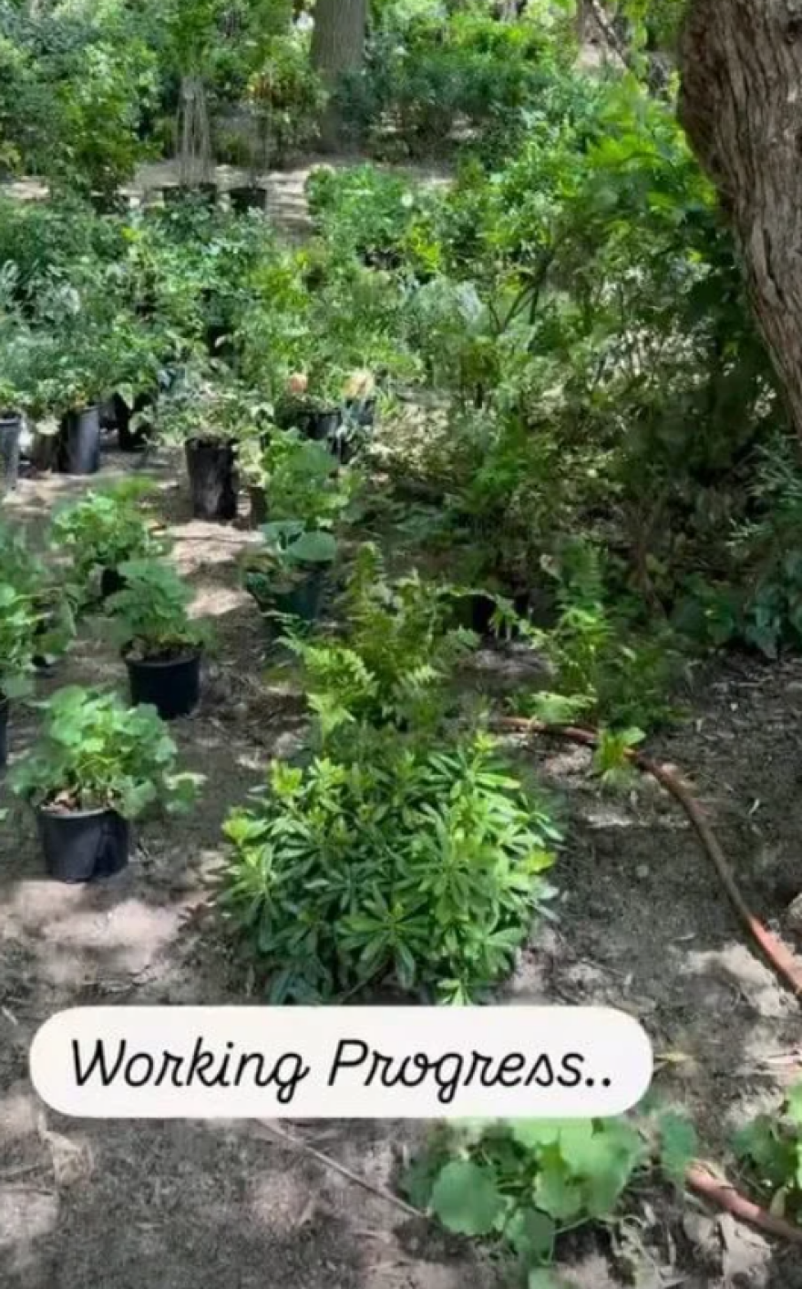 Ρίτσαρντ Γκιρ: Η σύζυγός του δείχνει τον κήπο του νέου τους σπιτιού στη Μαδρίτη