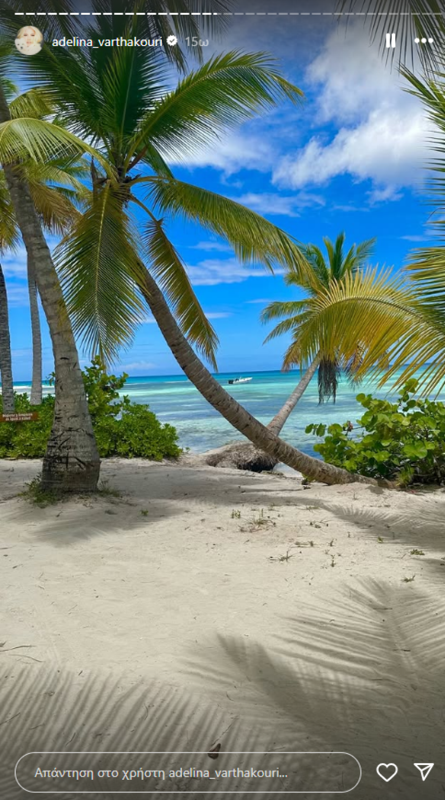 Η Αντελίνα Βαρθακούρη απολαμβάνει τις βουτιές της σε εξωτικό προορισμό
